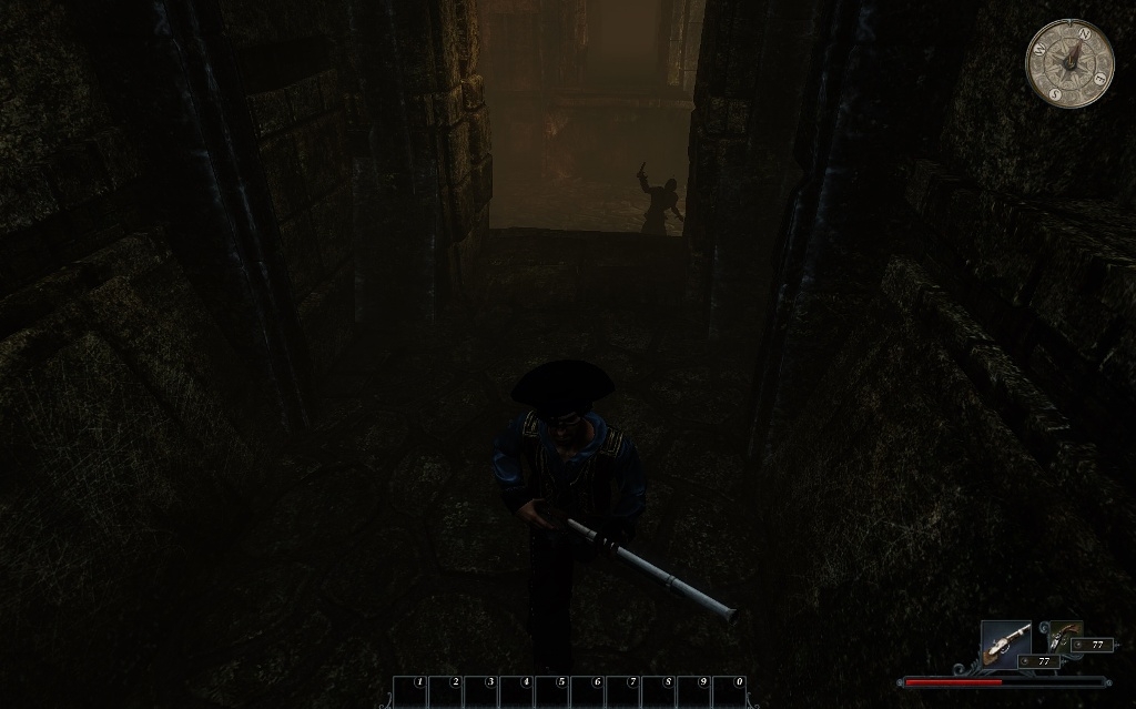 Скриншот из игры Risen 2: Dark Waters под номером 68