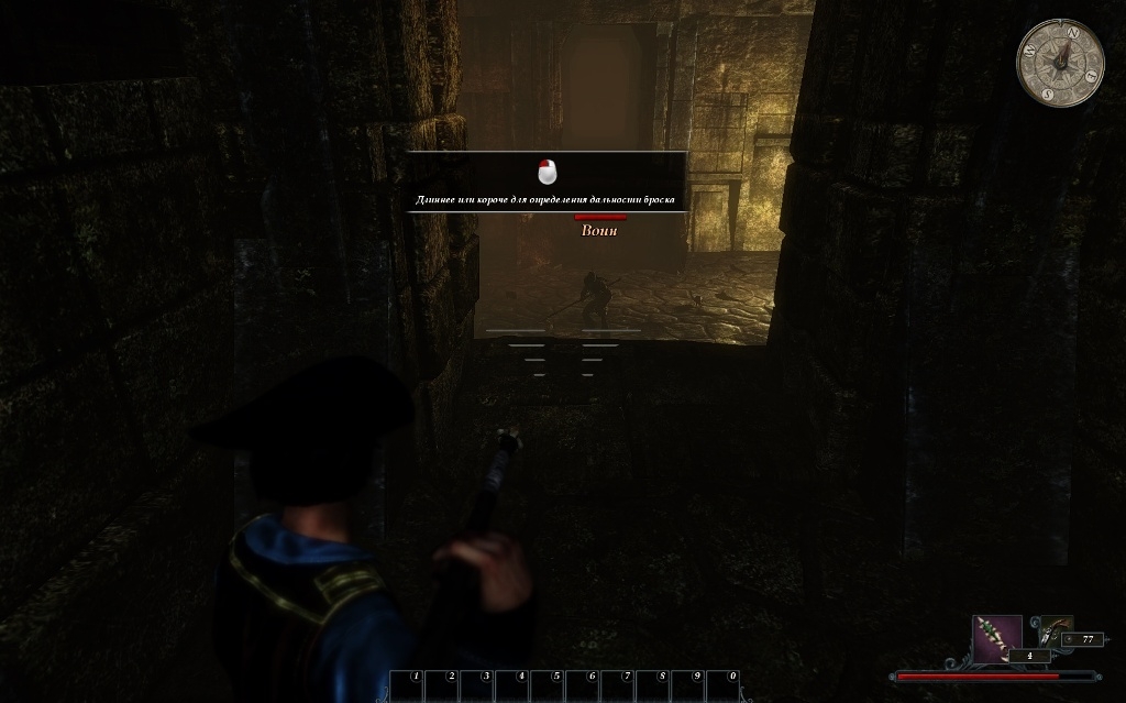 Скриншот из игры Risen 2: Dark Waters под номером 69