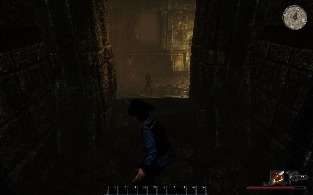 Скриншот из игры Risen 2: Dark Waters под номером 70