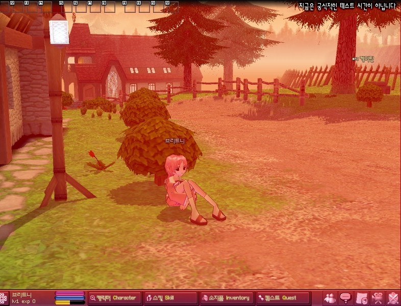 Скриншот из игры Mabinogi под номером 41