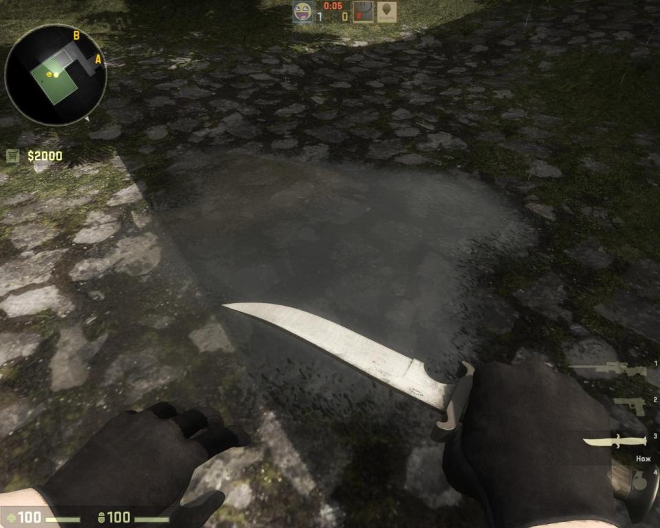 Скриншот из игры Counter-Strike: Global Offensive под номером 155