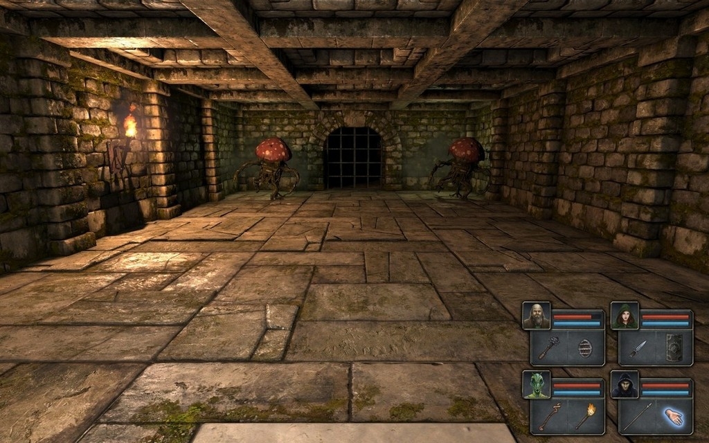 Скриншот из игры Legend of Grimrock под номером 25