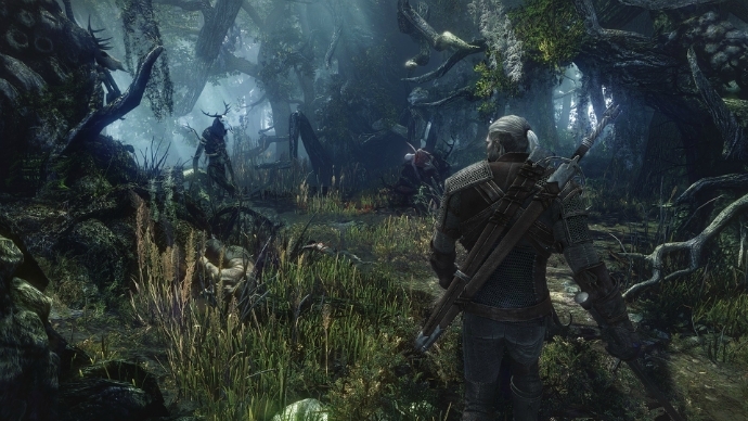 Скриншот из игры Witcher 3: Wild Hunt, The под номером 14