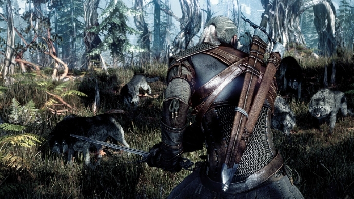 Скриншот из игры Witcher 3: Wild Hunt, The под номером 16