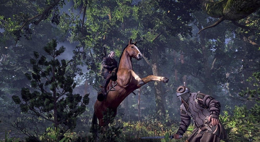 Скриншот из игры Witcher 3: Wild Hunt, The под номером 2
