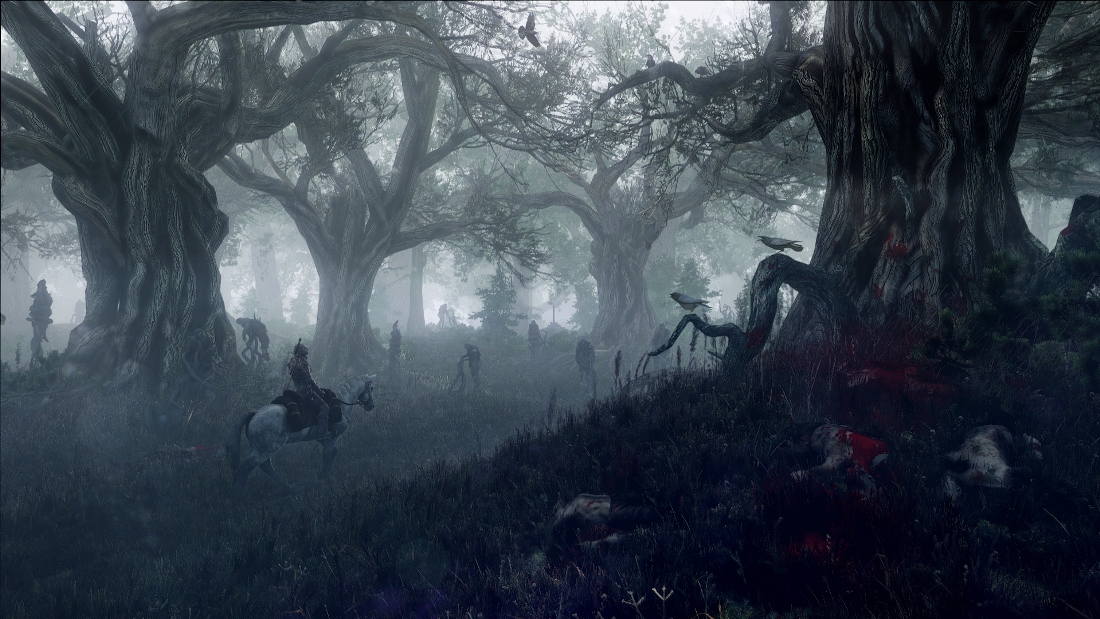 Скриншот из игры Witcher 3: Wild Hunt, The под номером 23