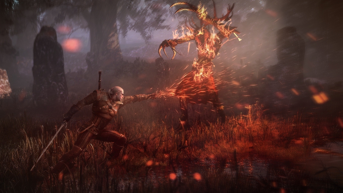 Скриншот из игры Witcher 3: Wild Hunt, The под номером 25