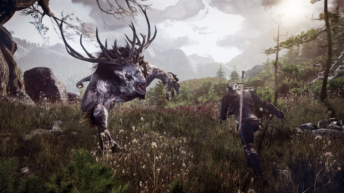 Скриншот из игры Witcher 3: Wild Hunt, The под номером 26