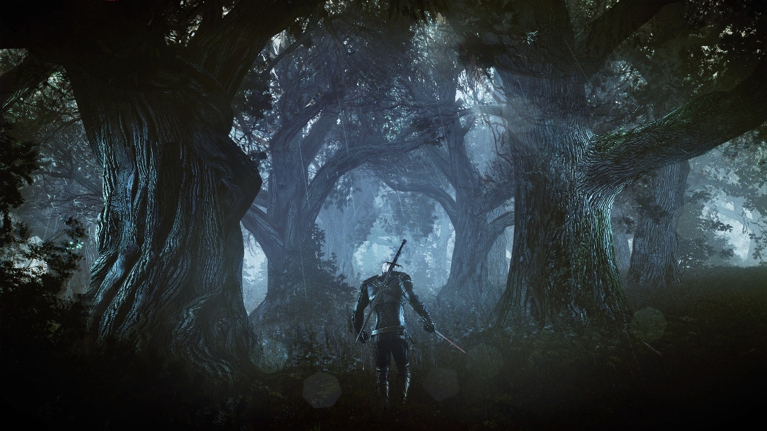 Скриншот из игры Witcher 3: Wild Hunt, The под номером 28