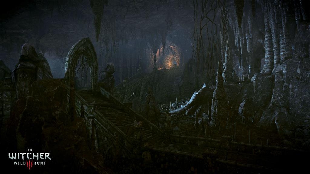 Скриншот из игры Witcher 3: Wild Hunt, The под номером 39