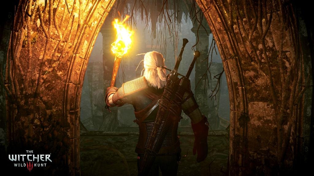 Скриншот из игры Witcher 3: Wild Hunt, The под номером 45