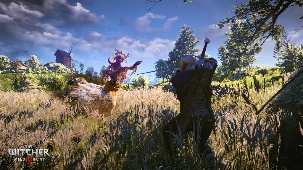 Скриншот из игры Witcher 3: Wild Hunt, The под номером 46