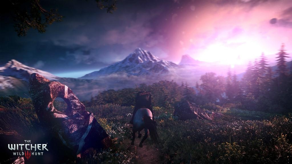 Скриншот из игры Witcher 3: Wild Hunt, The под номером 49