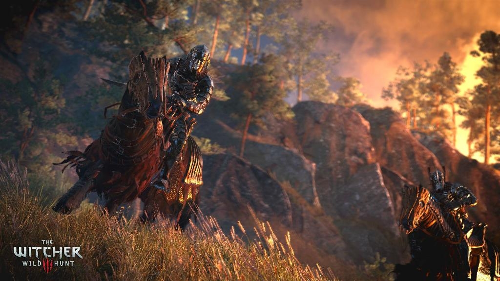 Скриншот из игры Witcher 3: Wild Hunt, The под номером 60