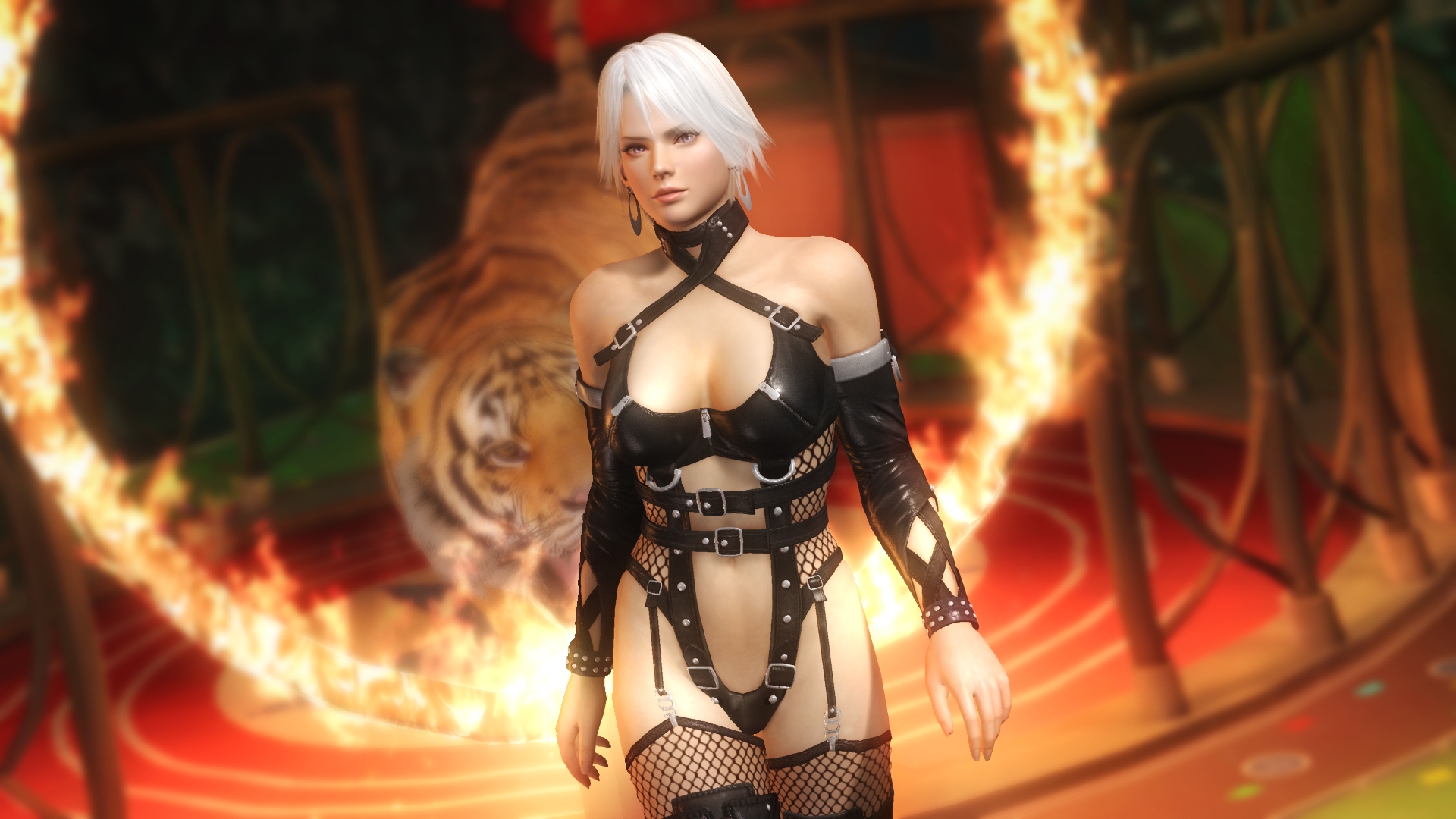 Скриншот из игры Dead or Alive 5 под номером 264