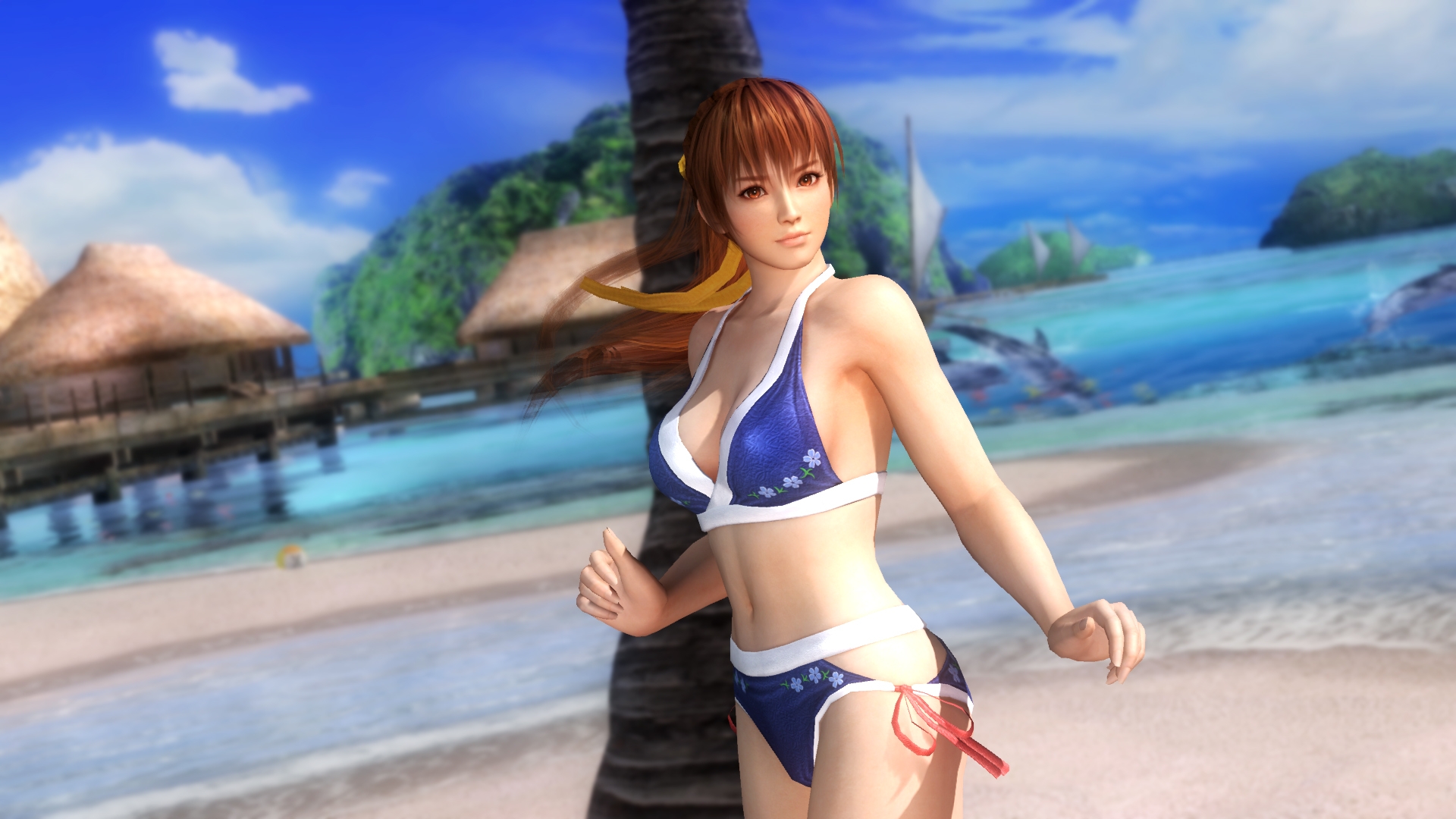 Фото dead or alive 5