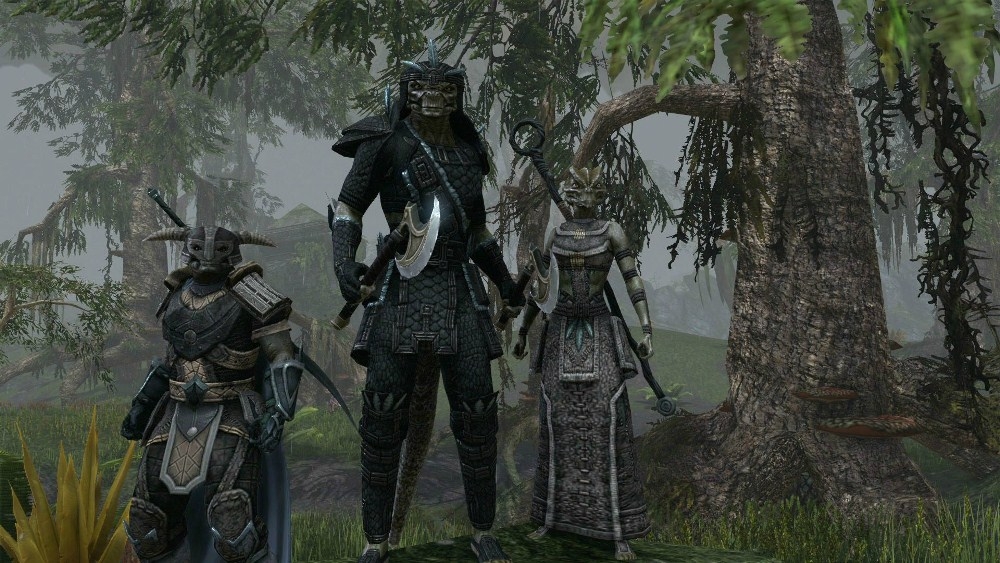 Скриншот из игры Elder Scrolls Online, The под номером 30
