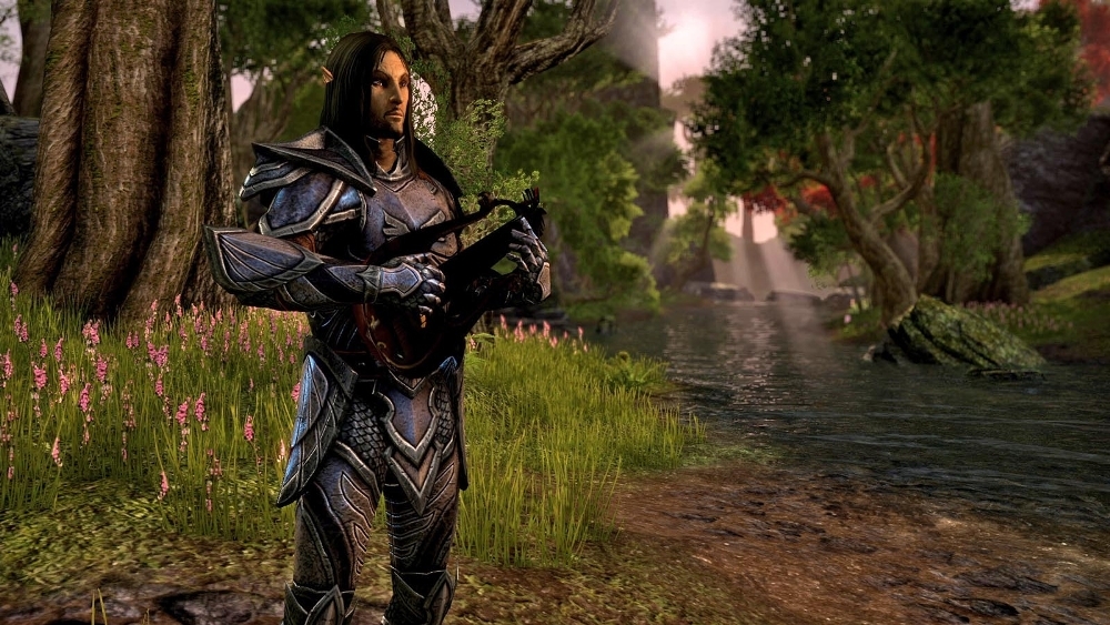 Скриншот из игры Elder Scrolls Online, The под номером 37