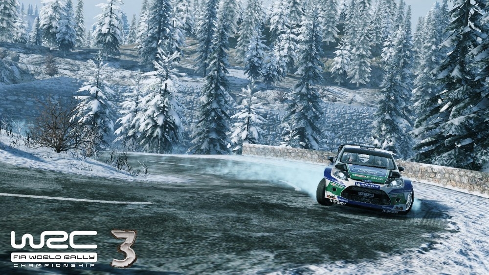 Скриншот из игры WRC 3 под номером 10
