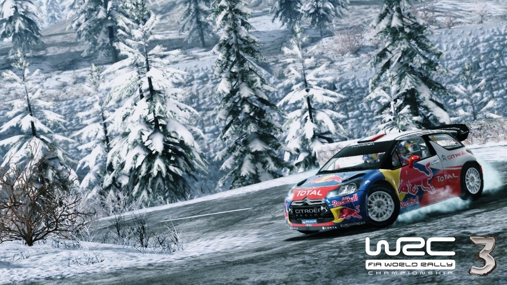Скриншот из игры WRC 3 под номером 11