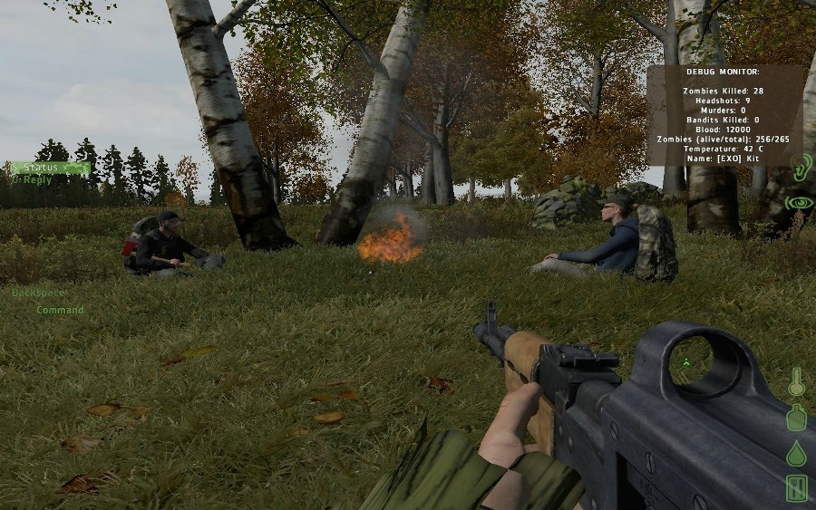 Скриншот из игры DayZ под номером 125