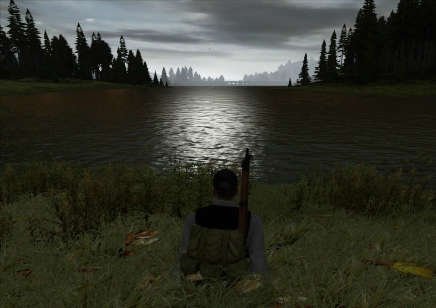 Dayz карта swan island