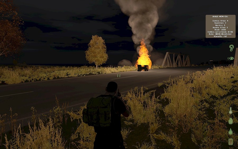 Скриншот из игры DayZ под номером 6