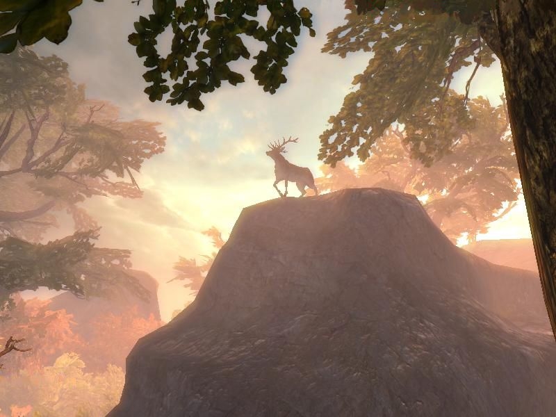 Скриншот из игры Drakensang: The River of Time под номером 4