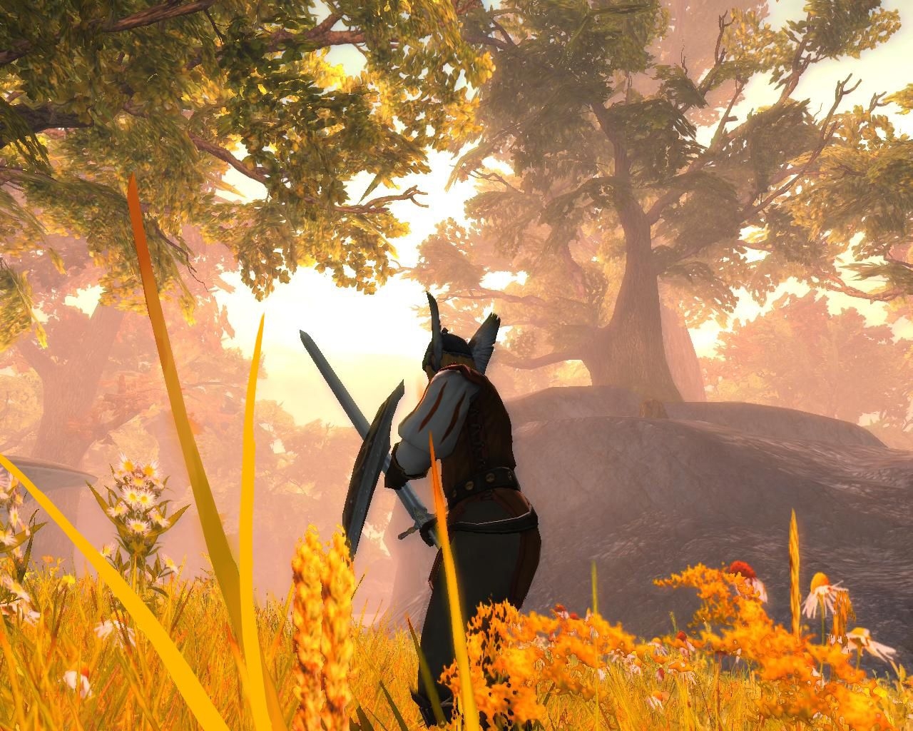 Скриншот из игры Drakensang: The River of Time под номером 7