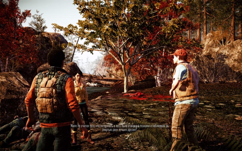 Скриншот из игры State of Decay под номером 40