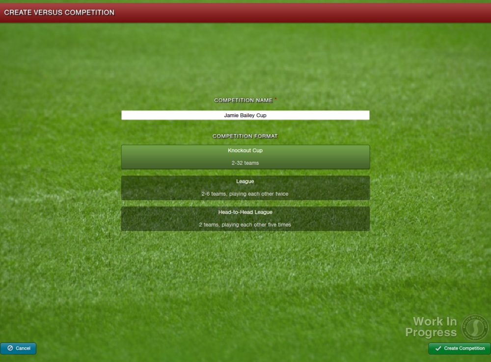 Скриншот из игры Football Manager 2013 под номером 25