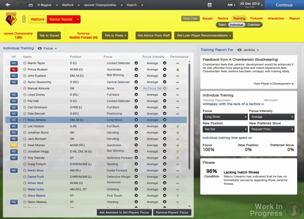 Скриншот из игры Football Manager 2013 под номером 31