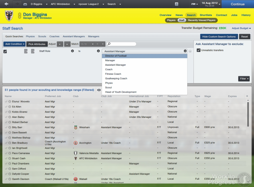 Скриншот из игры Football Manager 2013 под номером 32