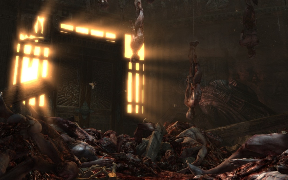 Скриншот из игры Tomb Raider (2013) под номером 116