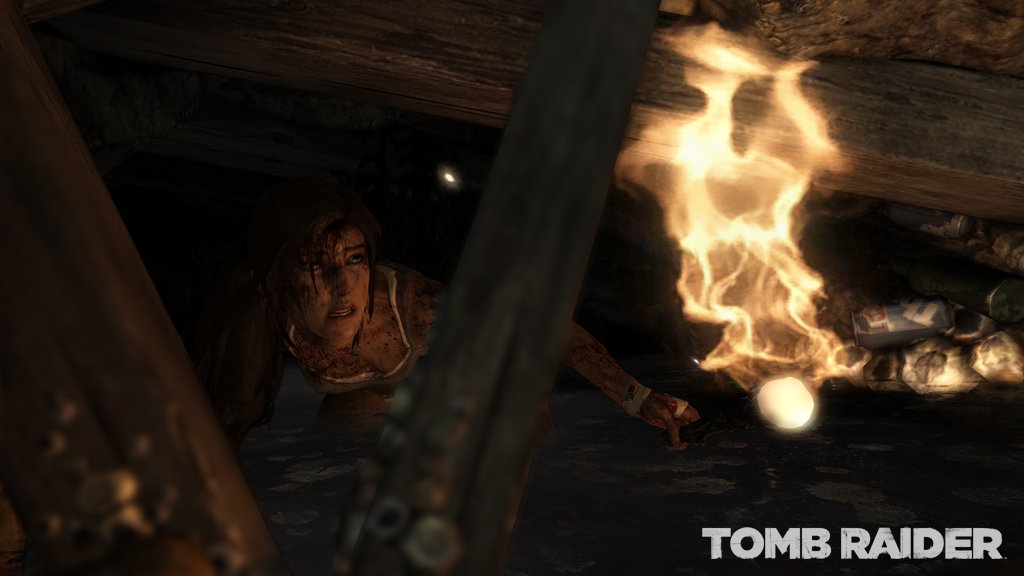 Скриншот из игры Tomb Raider (2013) под номером 14