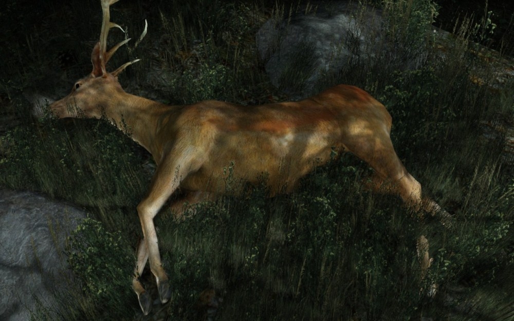 Скриншот из игры Tomb Raider (2013) под номером 141