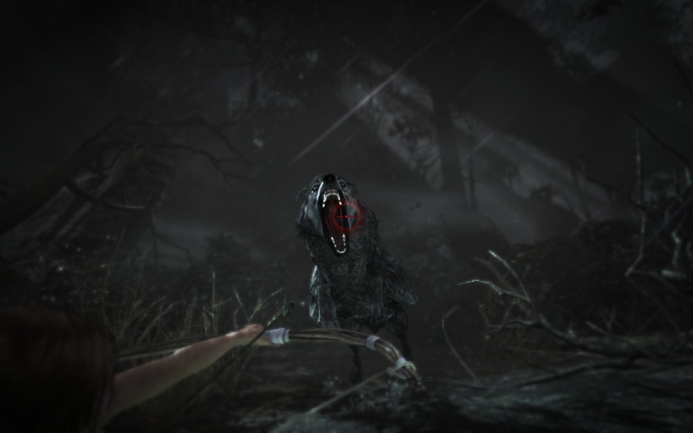 Скриншот из игры Tomb Raider (2013) под номером 145