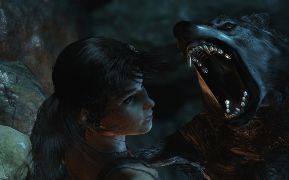 Скриншот из игры Tomb Raider (2013) под номером 148