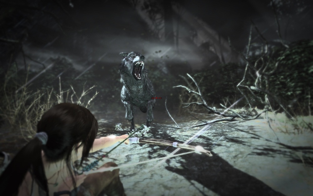 Скриншот из игры Tomb Raider (2013) под номером 161