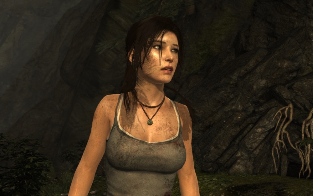 Скриншот из игры Tomb Raider (2013) под номером 65