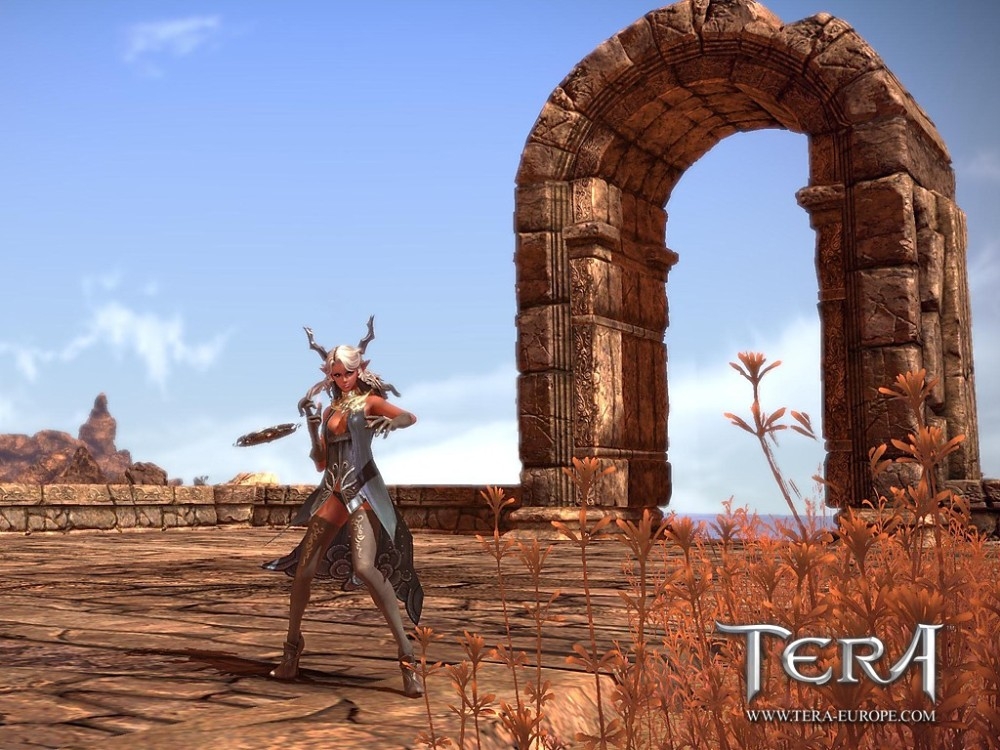 Скриншот из игры TERA: The Exiled Realm of Arborea под номером 33