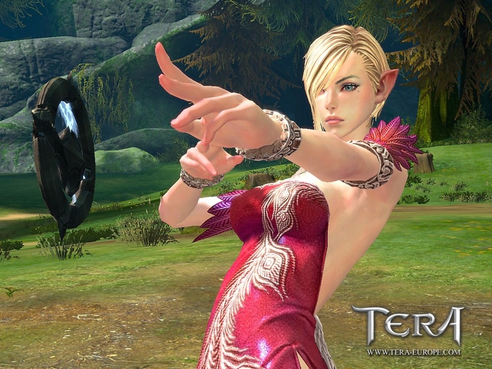 Скриншот из игры TERA: The Exiled Realm of Arborea под номером 34