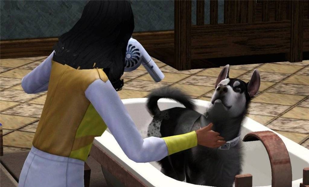 Скриншот из игры Sims 3: Pets, The под номером 25