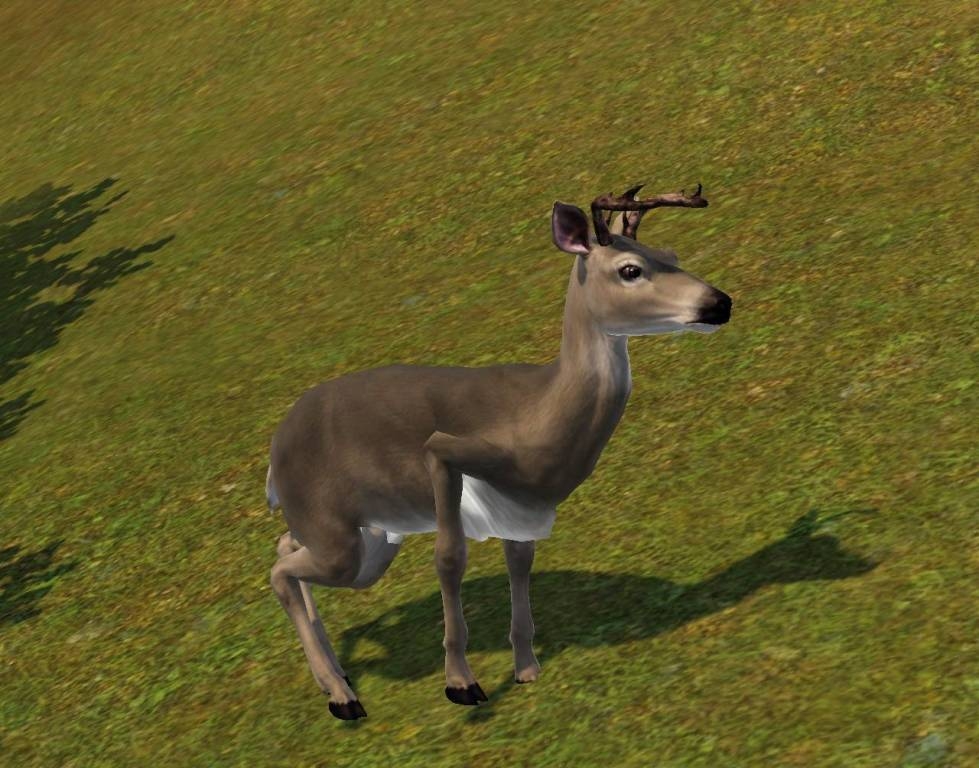 Скриншот из игры Sims 3: Pets, The под номером 3