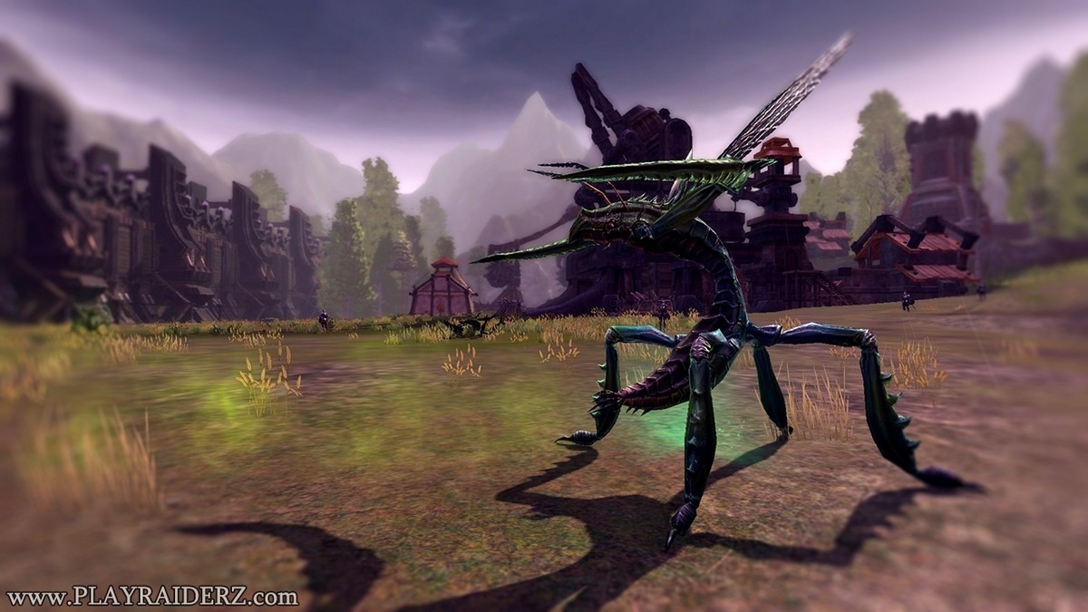 Скриншот из игры RaiderZ под номером 75