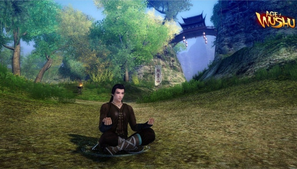 Скриншот из игры Age of Wushu под номером 112