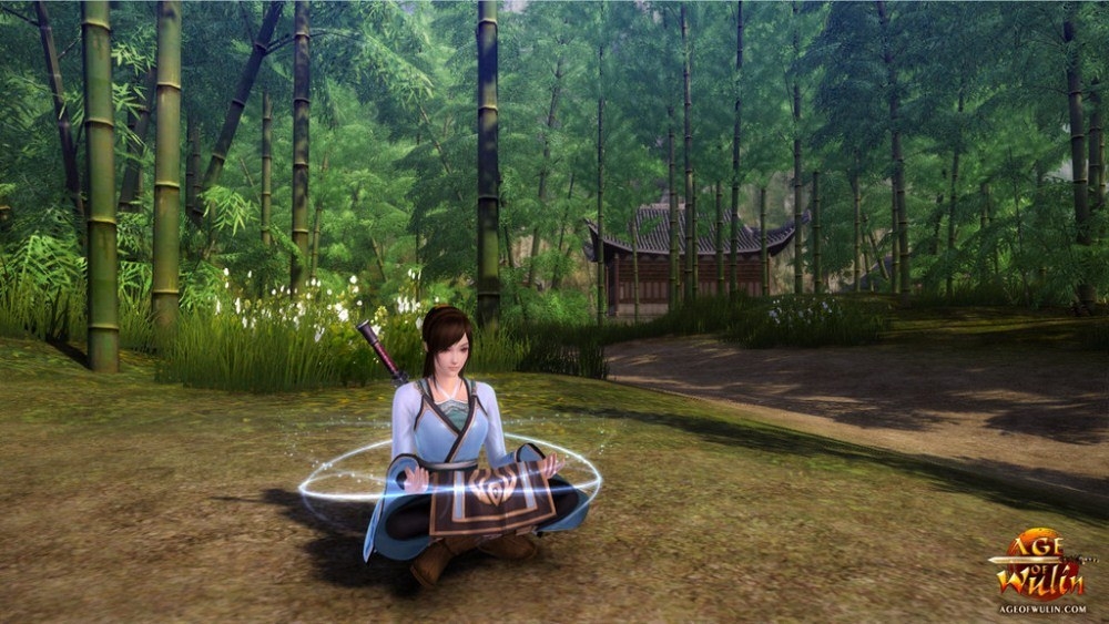 Скриншот из игры Age of Wushu под номером 166