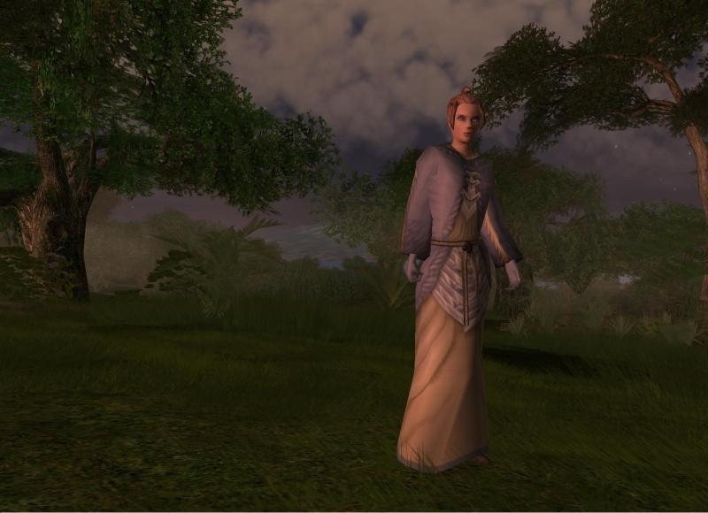 Скриншот из игры Dark and Light под номером 15