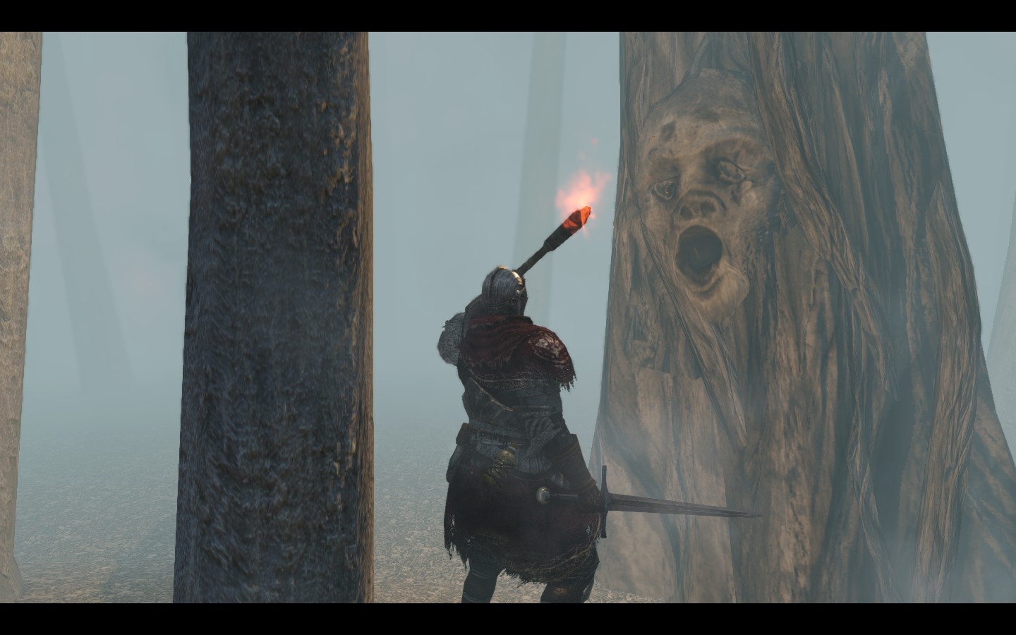 Скриншот из игры Dark Souls 2 под номером 41