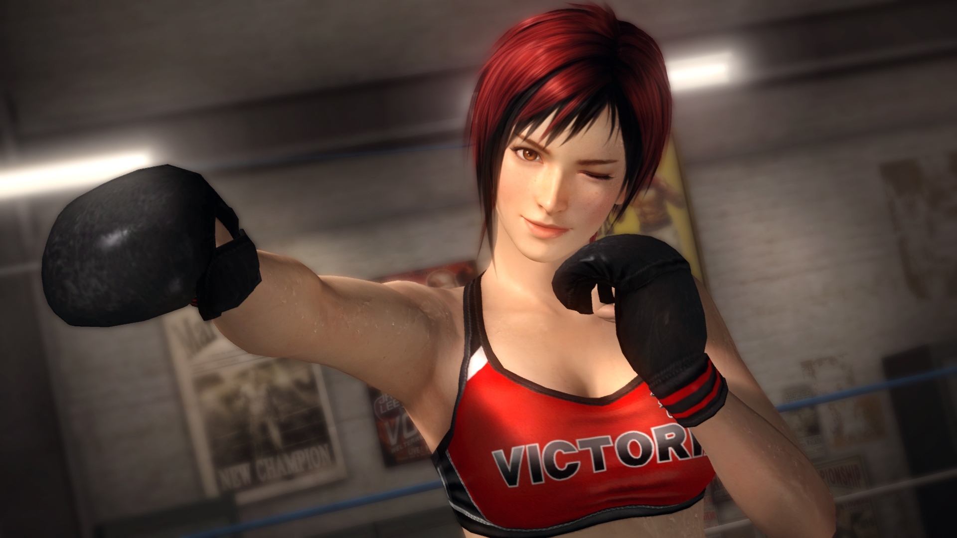 Скриншот из игры Dead or Alive 5: Plus под номером 139